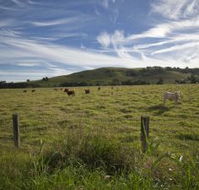 Annas Retreat - Taree Accommodation