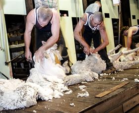 Jondaryan QLD Taree Accommodation