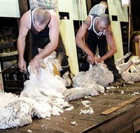 The Woolshed at Jondaryan Caravan and Camping - Taree Accommodation