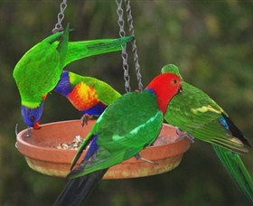 Bellthorpe Stays - Nature's Retreat - Taree Accommodation 3