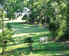 Bellthorpe Stays - Nature's Retreat - Taree Accommodation 2