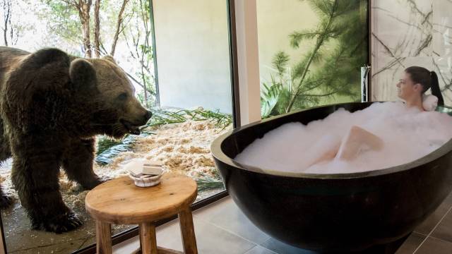 Weston Creek ACT Taree Accommodation