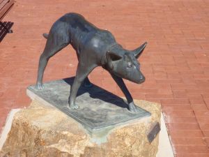 The Ardlethan Kelpie Caravan Park - Taree Accommodation 0