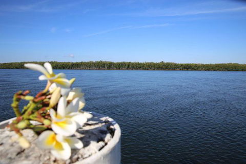 The Fishing Haven Holiday Park - Taree Accommodation 1