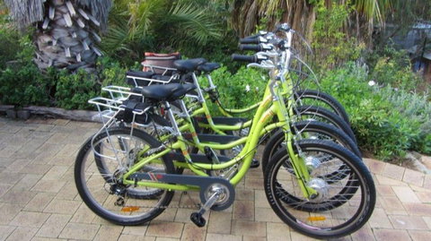 Paul's Eco E Bike Tours - Taree Accommodation 0