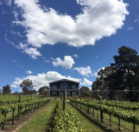 Mortimer's Accommodation amongst the Vines - Taree Accommodation