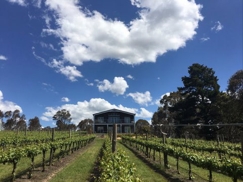 Mortimer's Accommodation Amongst The Vines - Taree Accommodation 0