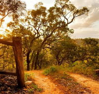 Kurrajong Trails and Cottages - Taree Accommodation