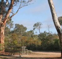 Drummonds Camp at Avon Valley National Park - Taree Accommodation
