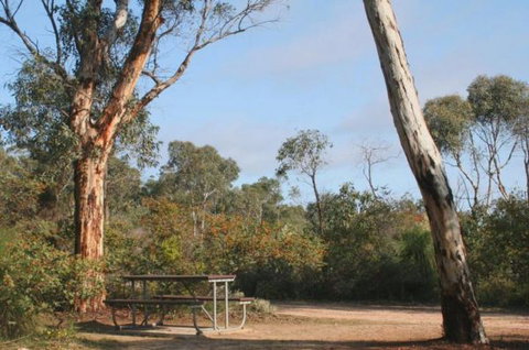 Drummonds Camp At Avon Valley National Park - Taree Accommodation 0
