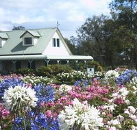 Emmas Cottage Vineyard - Taree Accommodation