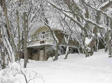 Amber Lodge - Taree Accommodation