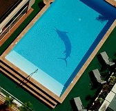 Pacific International Hotel - Taree Accommodation