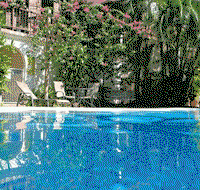 Tranquility Palm Cove - Taree Accommodation