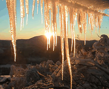Burnt Hut - Taree Accommodation
