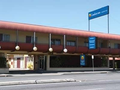 Comfort Inn Manhattan - Taree Accommodation 0