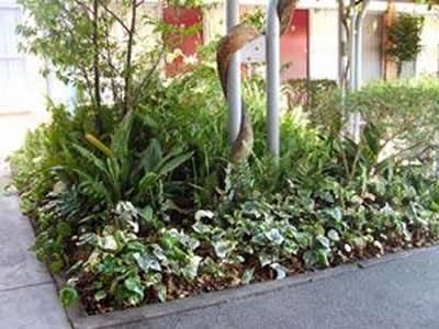 Comfort Inn Manhattan - Taree Accommodation 2