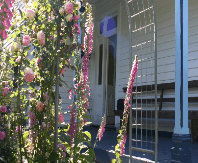 Devonport Bed And Breakfast - Taree Accommodation