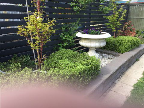 Apartments On-The-Park: March - Taree Accommodation 6