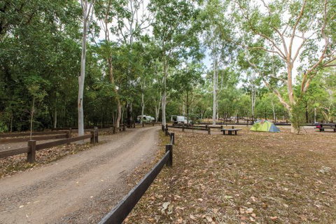 Carnarvon National Park Camping - Taree Accommodation 1