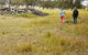Carnarvon National Park Camping - thumb 0