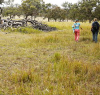 Carnarvon National Park camping - Taree Accommodation