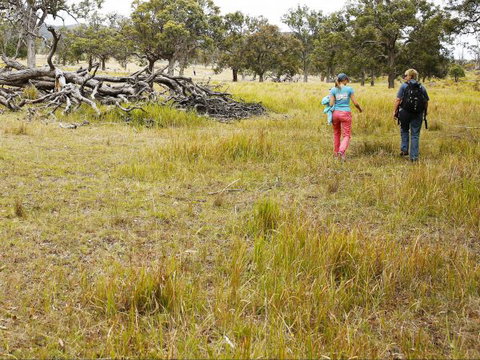 Carnarvon National Park Camping - Taree Accommodation 0
