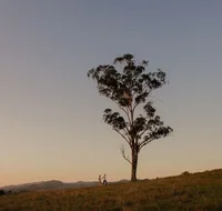 Faulls Ridge Winery - Taree Accommodation