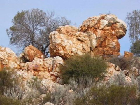 Credo Homestead Camp At Credo Conservation Park - Taree Accommodation 0
