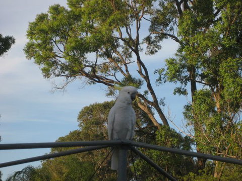 Winnamatta Guest House - Taree Accommodation 5