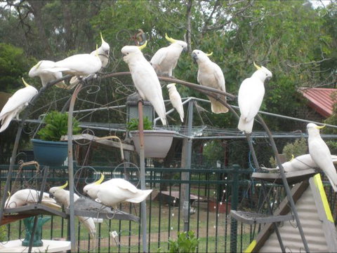 Winnamatta Guest House - Taree Accommodation 10