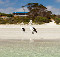 Kangaroo Island Star Beach House - Taree Accommodation