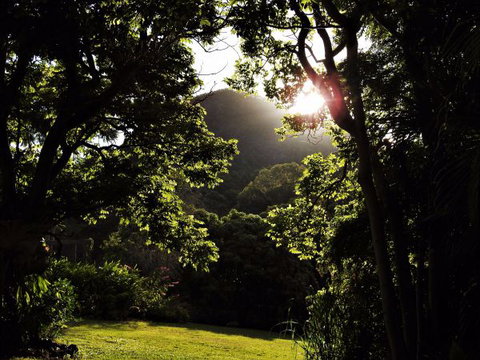 'The Dales' Boutique Bed And Breakfast - Taree Accommodation 5