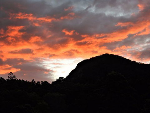 'The Dales' Boutique Bed And Breakfast - Taree Accommodation 6