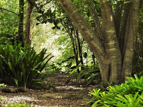 'The Dales' Boutique Bed And Breakfast - Taree Accommodation 7