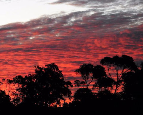 'The Dales' Boutique Bed And Breakfast - Taree Accommodation 8