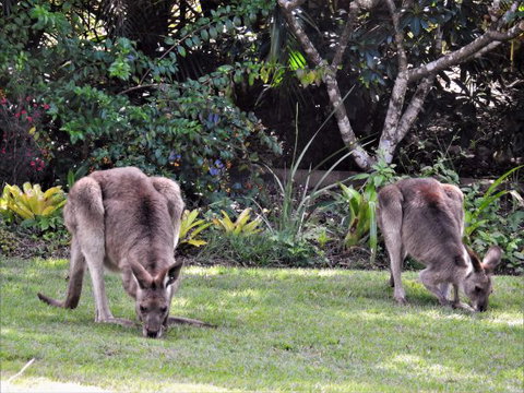 'The Dales' Boutique Bed And Breakfast - Taree Accommodation 9