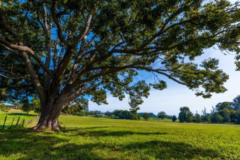 All About Me Bed And Breakfast - Taree Accommodation 8