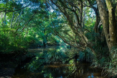 All About Me Bed And Breakfast - Taree Accommodation 9