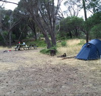 Allports Beach Camping Ground - Taree Accommodation