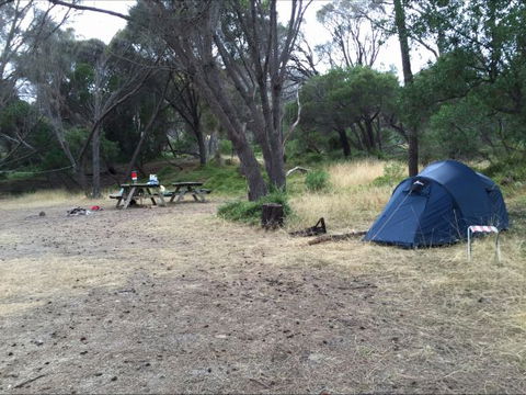 Allports Beach Camping Ground - Taree Accommodation 0