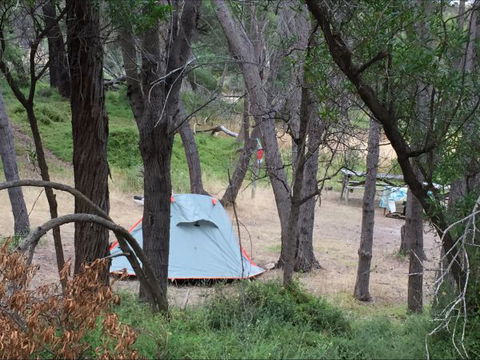 Allports Beach Camping Ground - Taree Accommodation 5