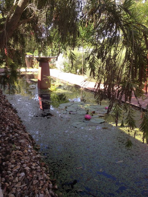 Artrocks Artist Retreat & Accommodation - Taree Accommodation 1