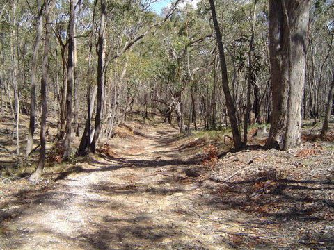 Bushmans Lookout - Taree Accommodation 3