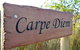 Carpe Diem - thumb 0