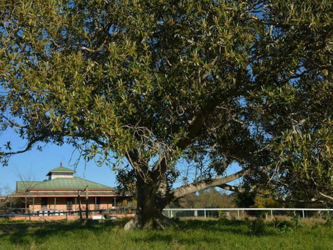 Cairnsmore Bed And Breakfast - Taree Accommodation 7