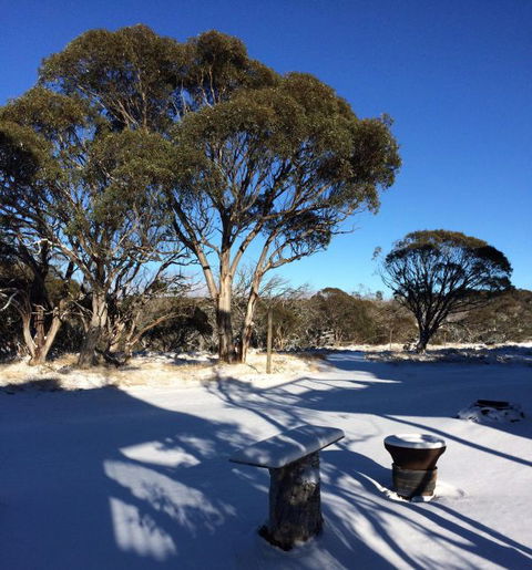 Cloud 9 Alpine Lodge - Taree Accommodation 9