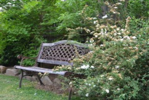 Garden Cottage B And B - Taree Accommodation 4