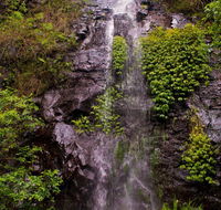 Nimbin waterfall retreat - Taree Accommodation