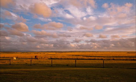 Sanctuary@Waratah - Taree Accommodation 8